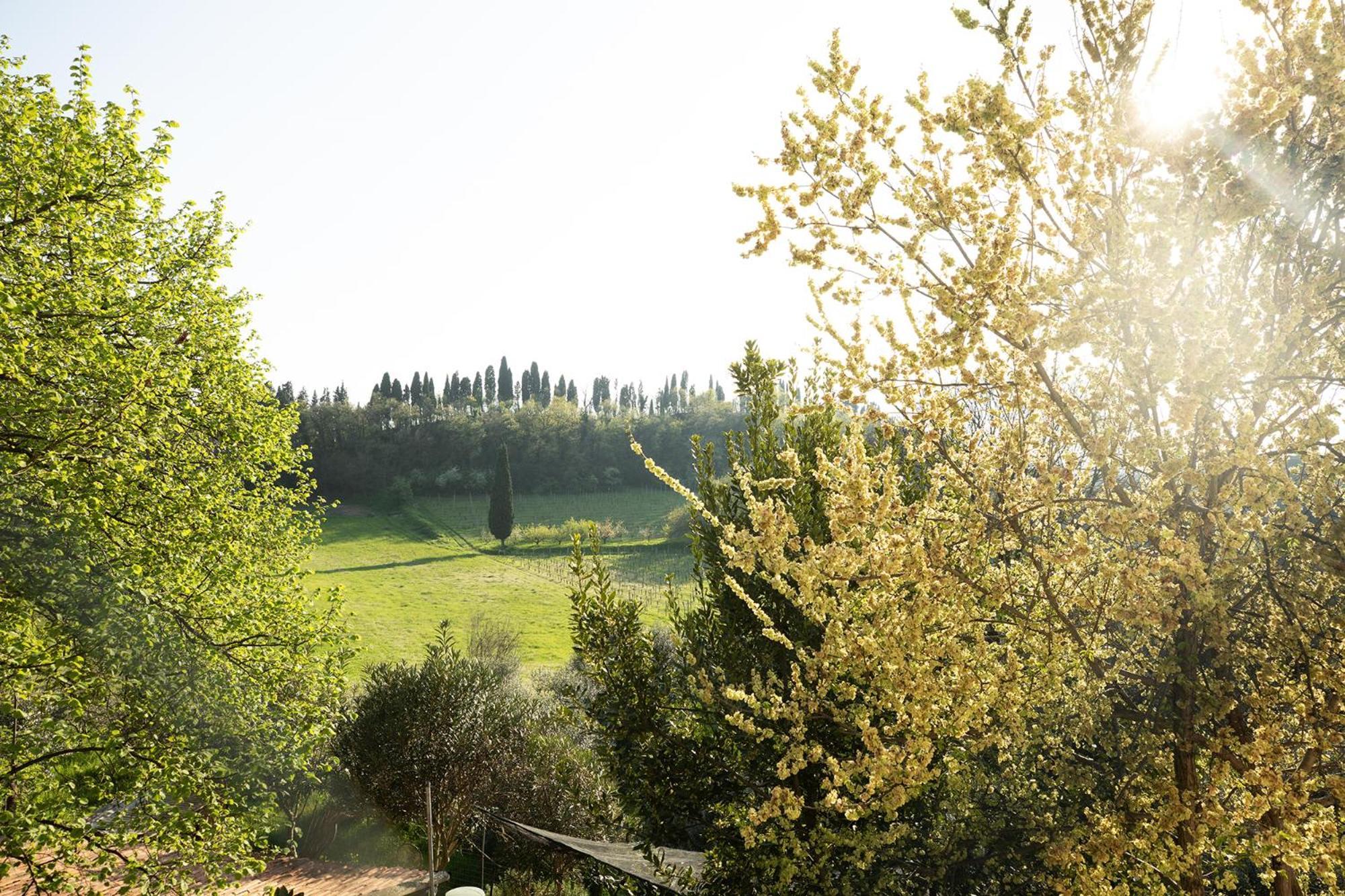 Relais La Rocca Solferino Bed & Breakfast Exterior photo