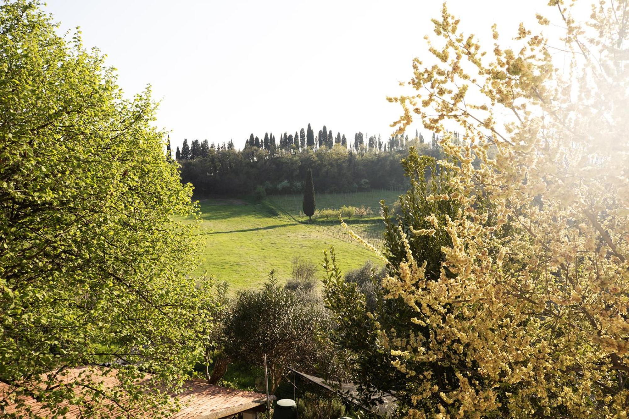 Relais La Rocca Solferino Bed & Breakfast Exterior photo